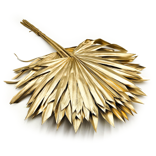 Palm SUN Gold Palma suszona złota okl.png