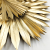 Palm SUN Gold Palma suszona złota zbl.png