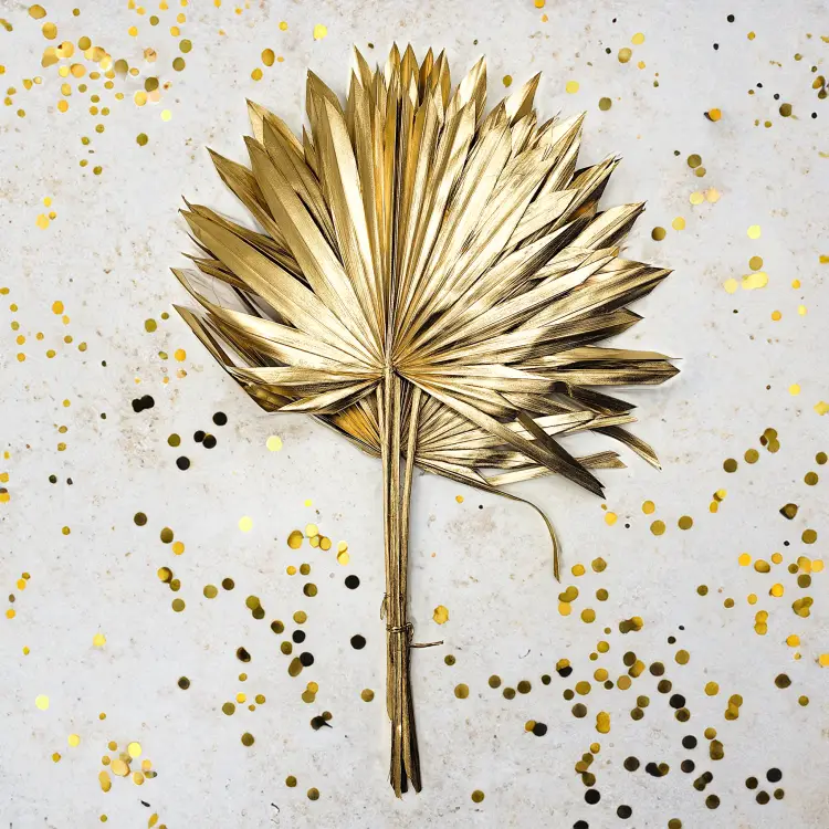 Palm SUN Gold Palma suszona złota2.png