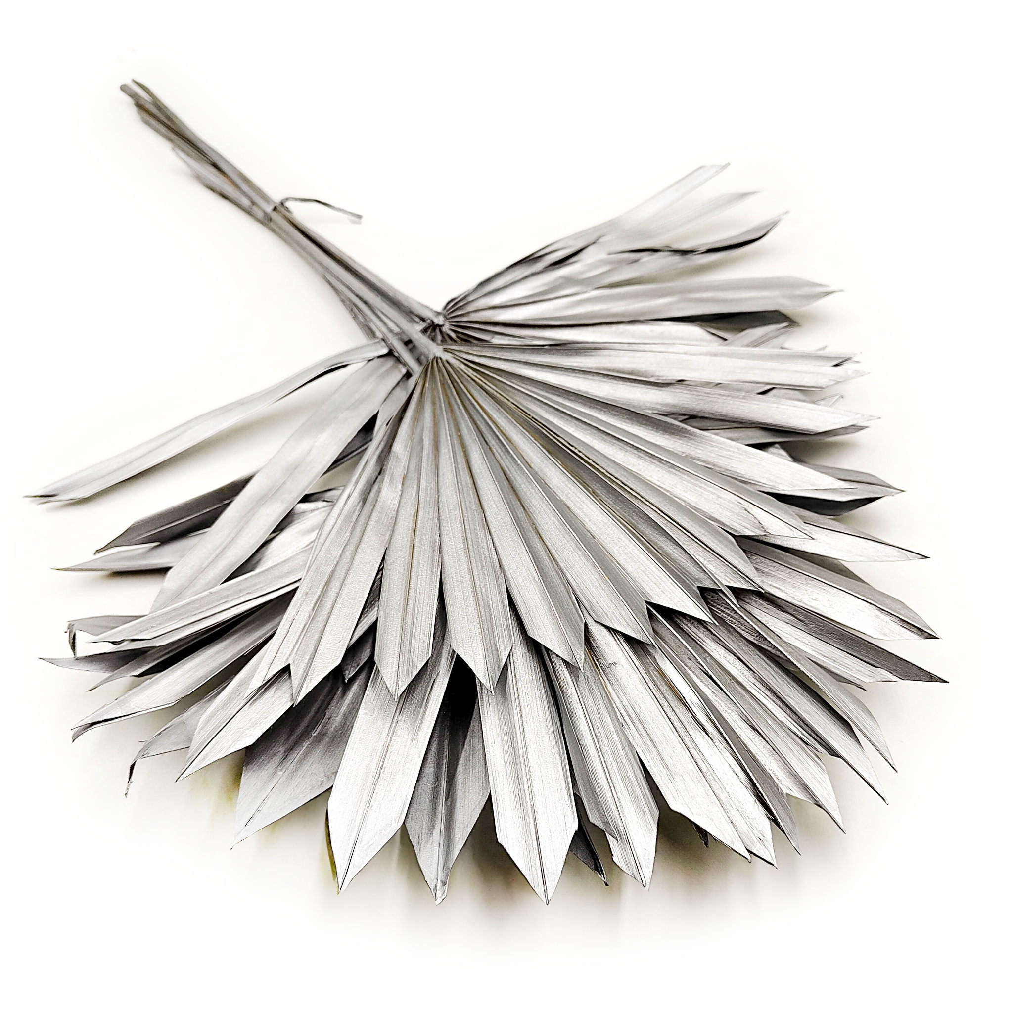 Palma, wachlarz (Palm Sun) - Srebrny