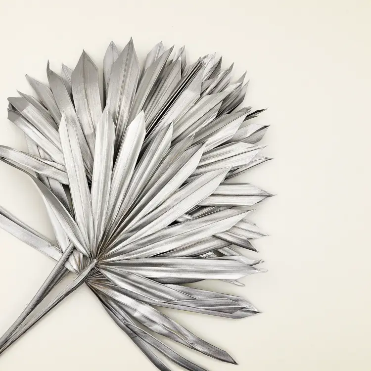 Palm SUN Silver Palma suszona srebrna.png