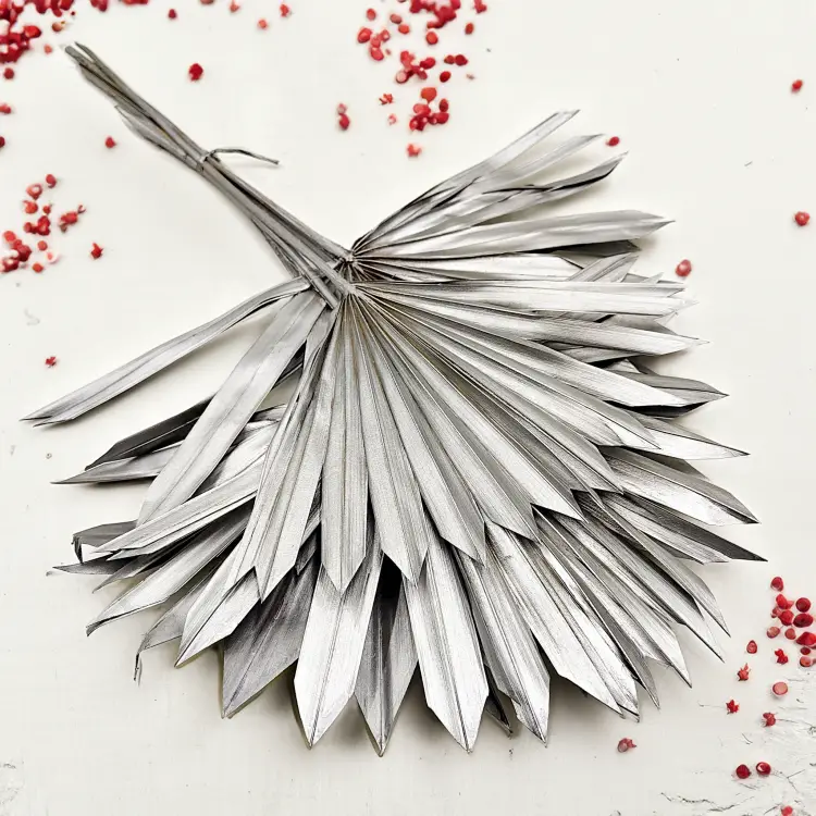 Palm SUN Silver Palma suszona srebrna4.png