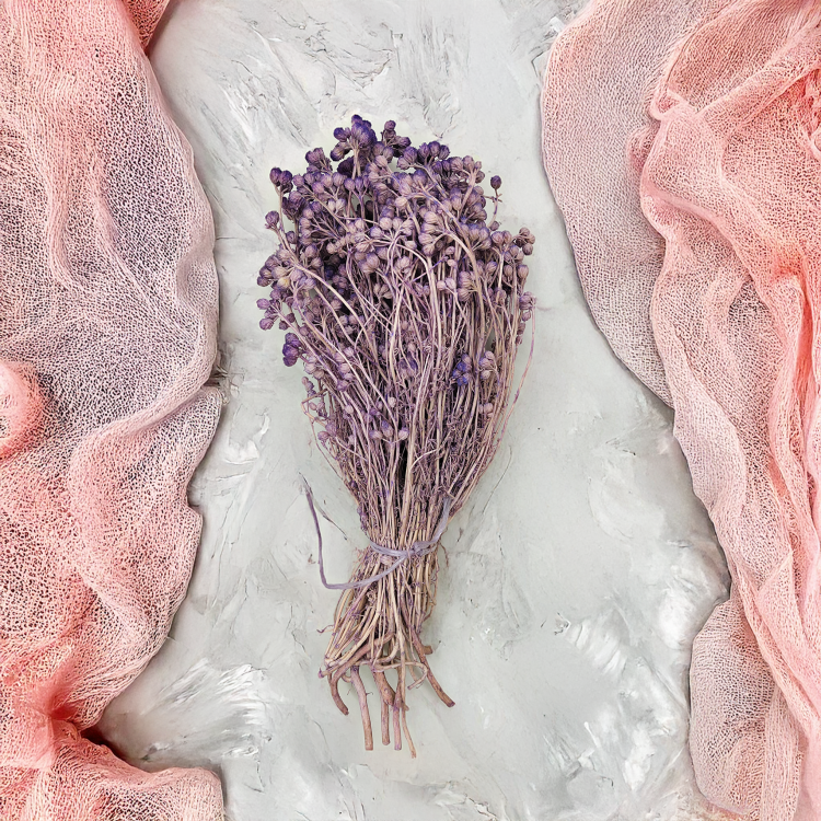 Lonas Lilac suszony kwiat1.png