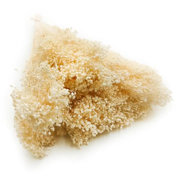 Broom Bloom Bielone okl1.png