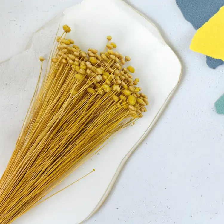 Botao Amarelino Żółte bukiet zbl1.png