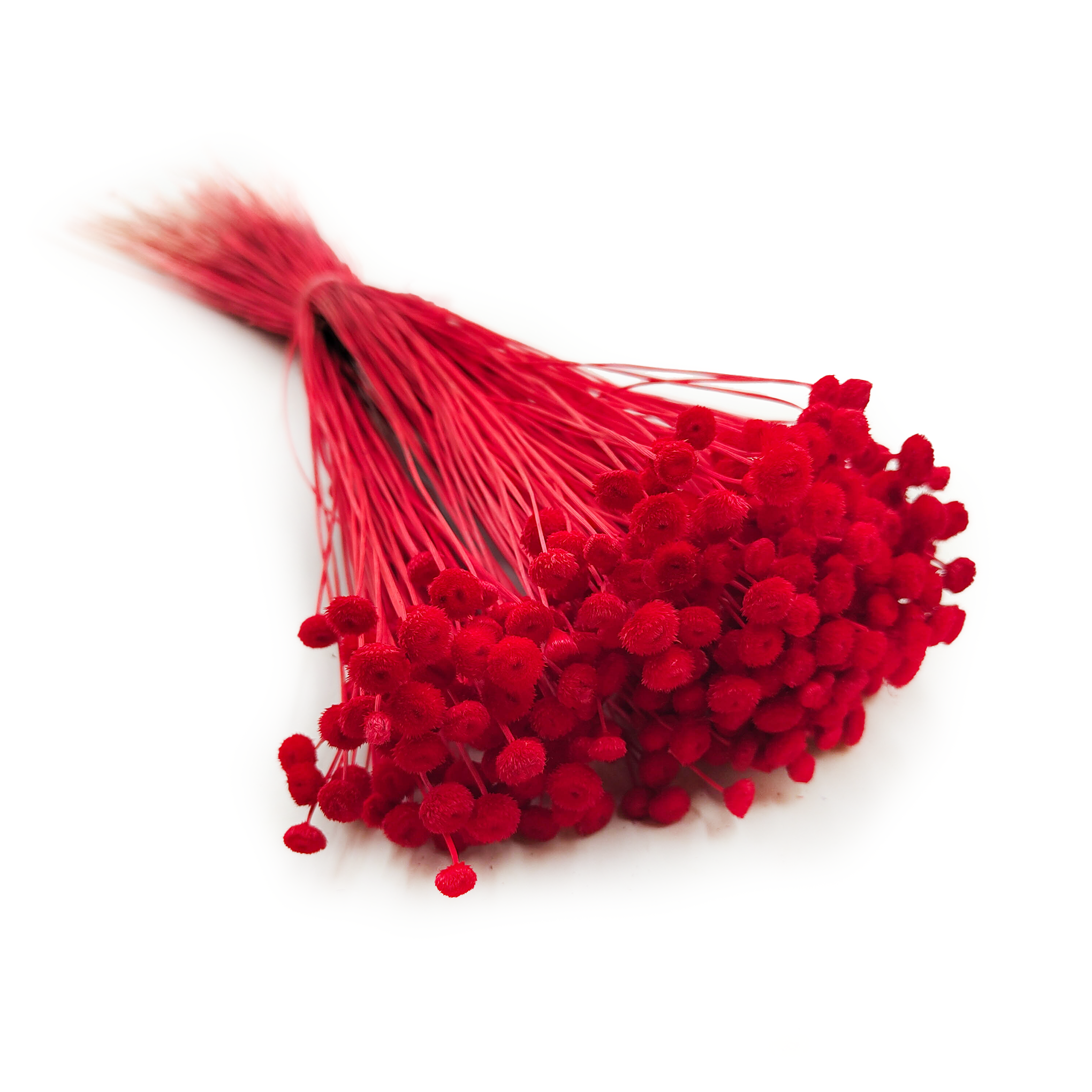 Botao Amarelino - (Amarelinho) - czerwone