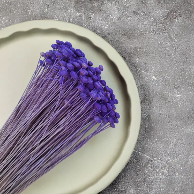 Botao Amarelino chabrowy fiolet bukiet zbl1.png