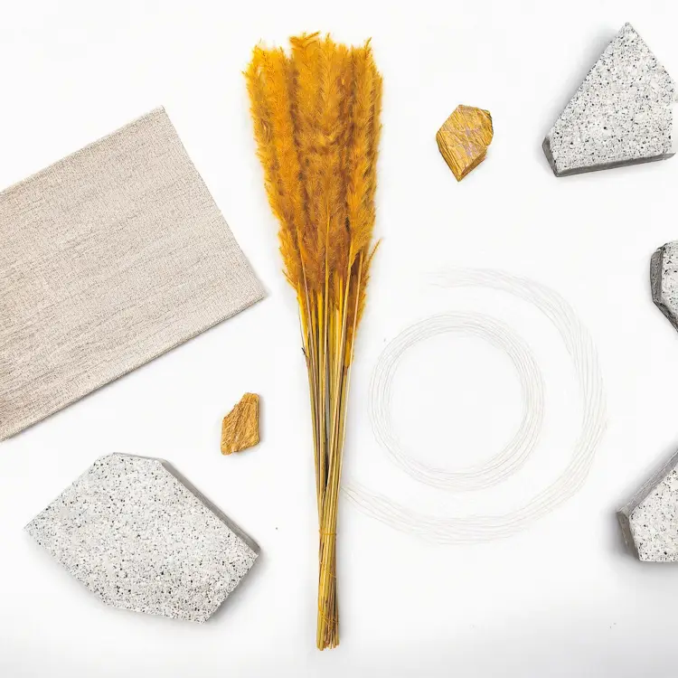 mini pampas musztardowy zbl1.png