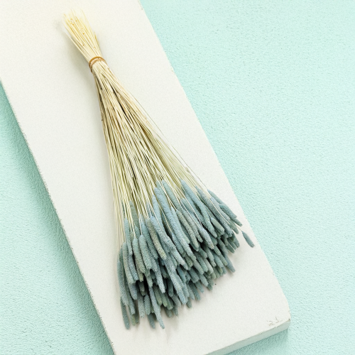 Trawa suszona Tymotka Mietowa zbl4.png