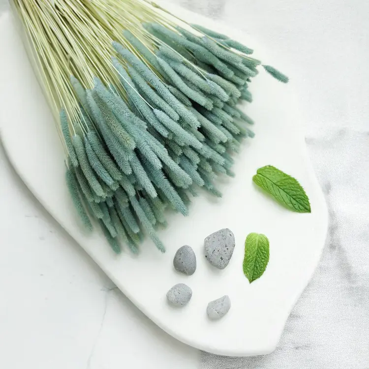 Trawa suszona Tymotka Mietowa zblq.png