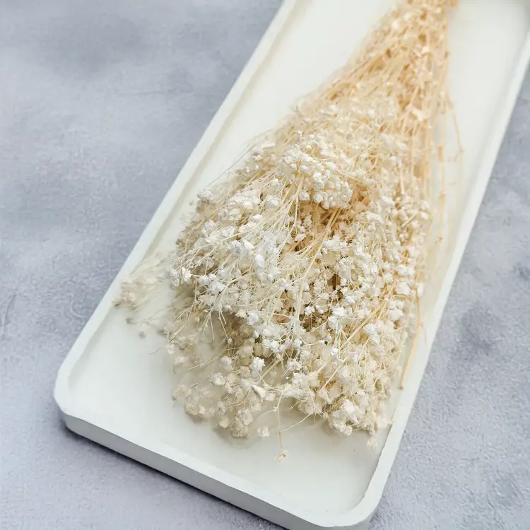 Gipsówka gypsophila bielona stabilizowana.png