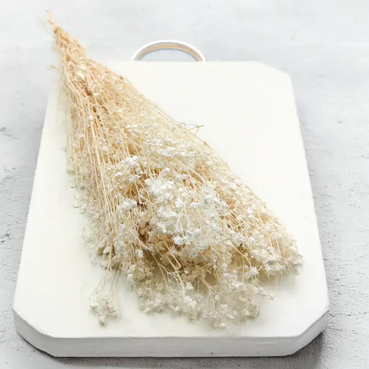 Gipsówka gypsophila bielona stabilizowana1.png