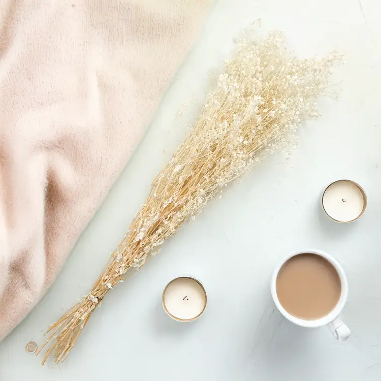 Gipsówka gypsophila bielona stabilizowana5.png