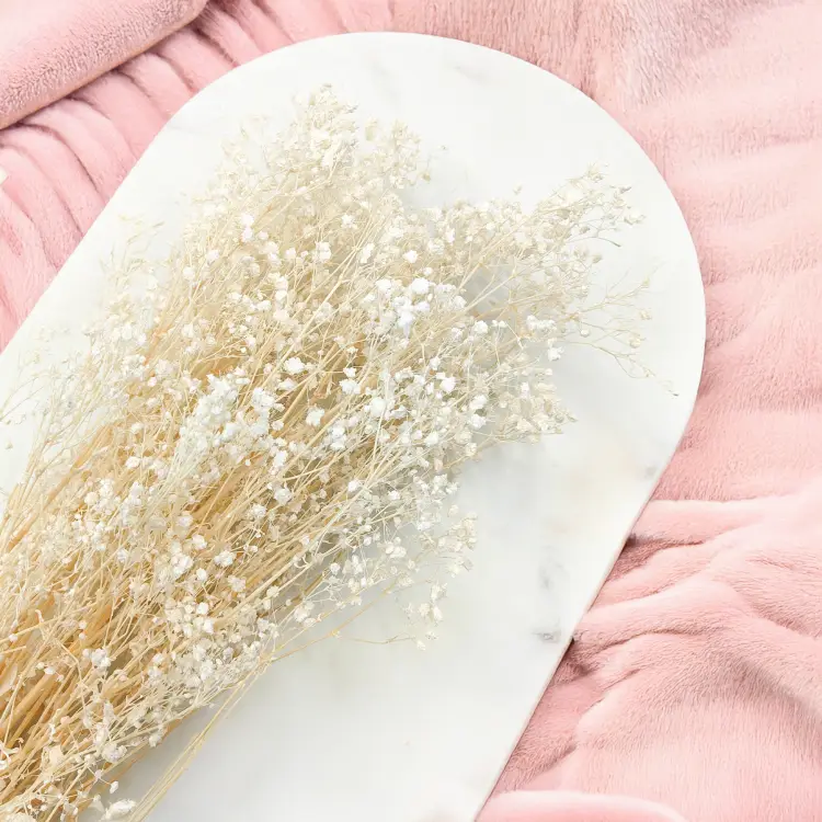 Gipsówka gypsophila bielona stabilizowana6.png