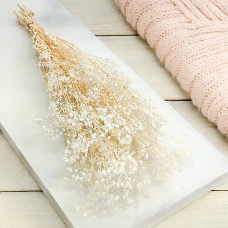 Gipsówka gypsophila bielona stabilizowana7.png