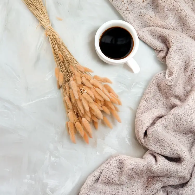 Lagurus Suszony dmuszek jajowaty Brzoskwiniowy 5.png