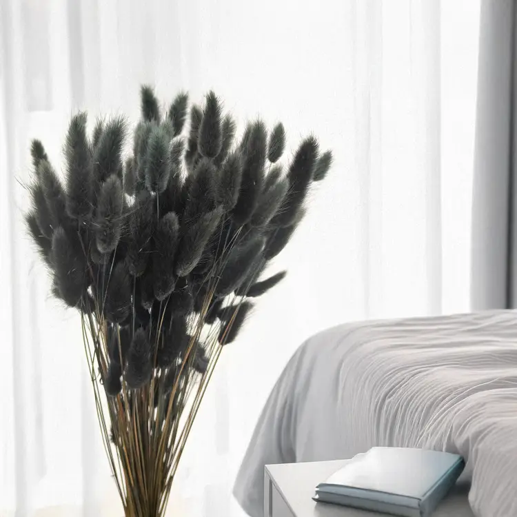 Lagurus Suszony dmuszek jajowaty Czarny 1.png