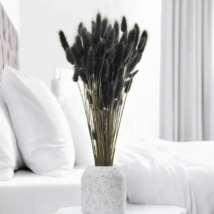 Lagurus Suszony dmuszek jajowaty czarny 2.png