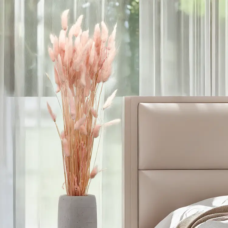 Lagurus Suszony dmuszek jajowaty perlowy roz 4.png