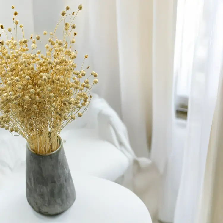 Len Suszony - Bielony.png