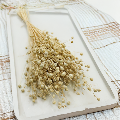 Len Suszony - Bielony 6.png