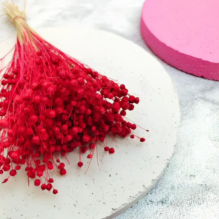 Len Suszony - Czerwony 2.png