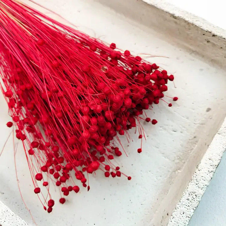 Len Suszony - Czerwony 3.png