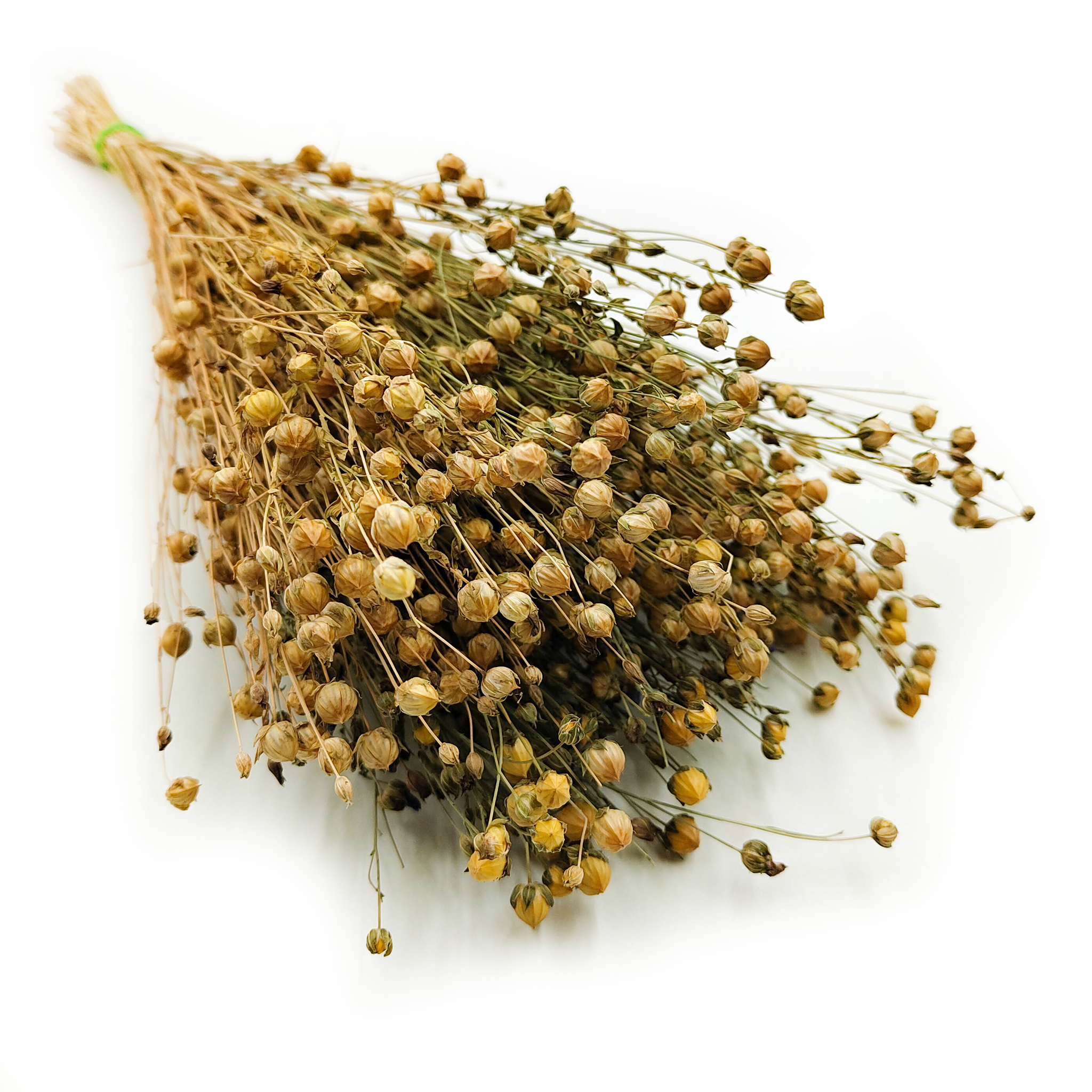 Len Suszony - Naturalny