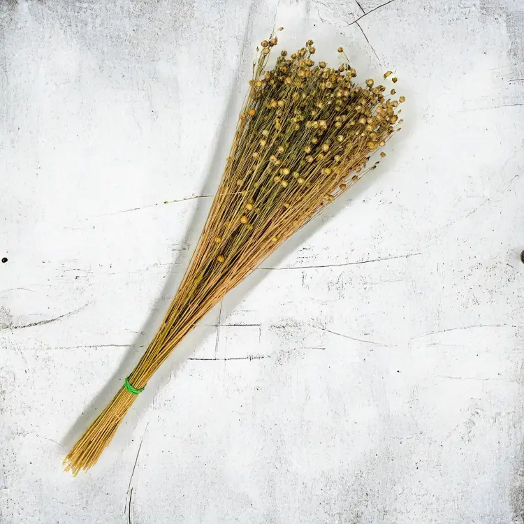 Len Suszony - Naturalny 2.png