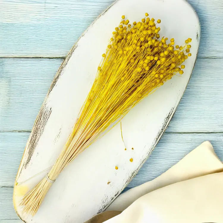 Len Suszony - Zolty1.png