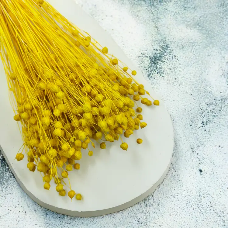 Len Suszony - Zolty3.png