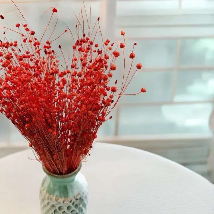 Len Suszony - Pomaranczowy 2.png