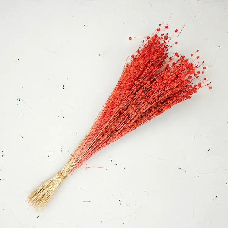 Len Suszony - Pomaranczowy 3.png