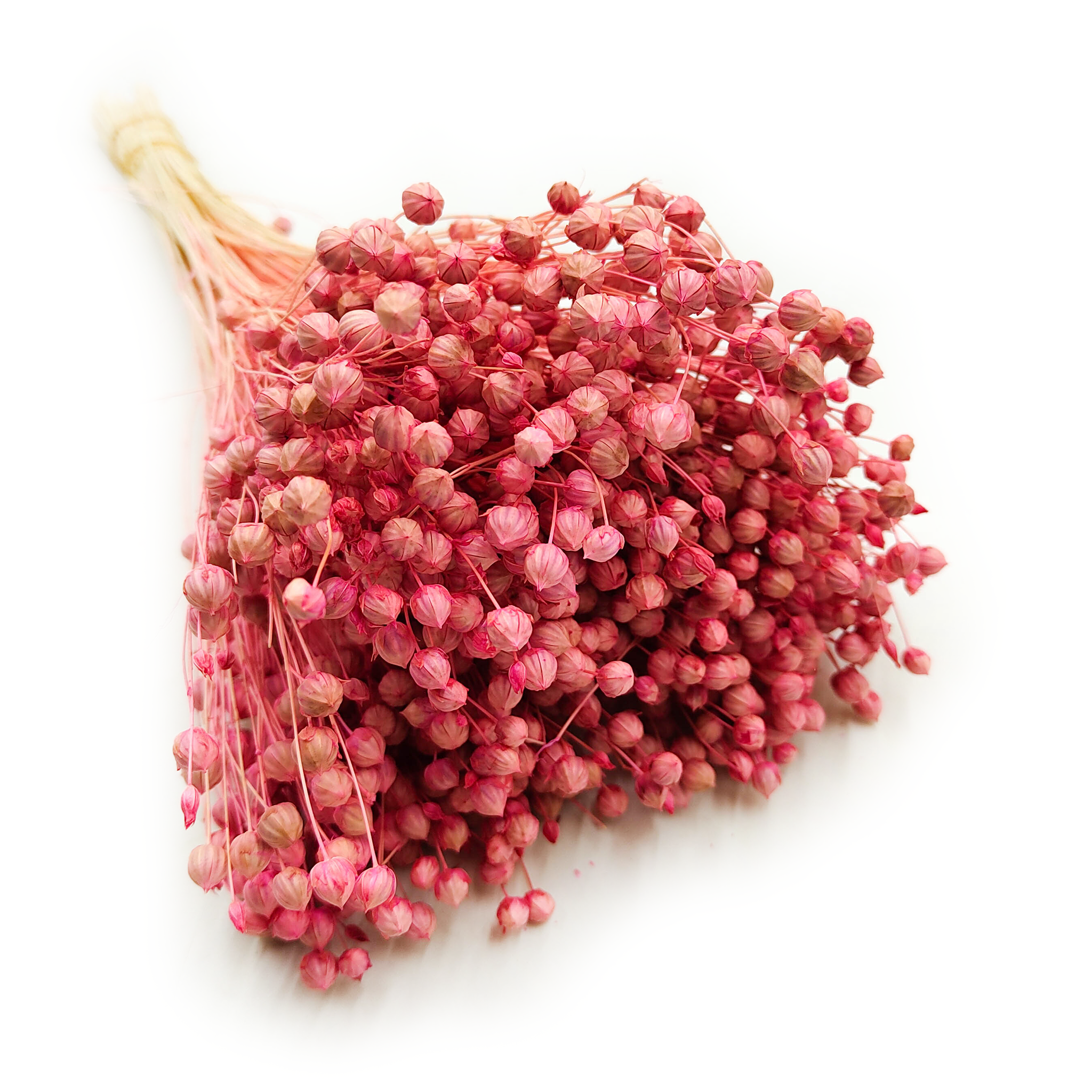 Len Suszony - Różowy