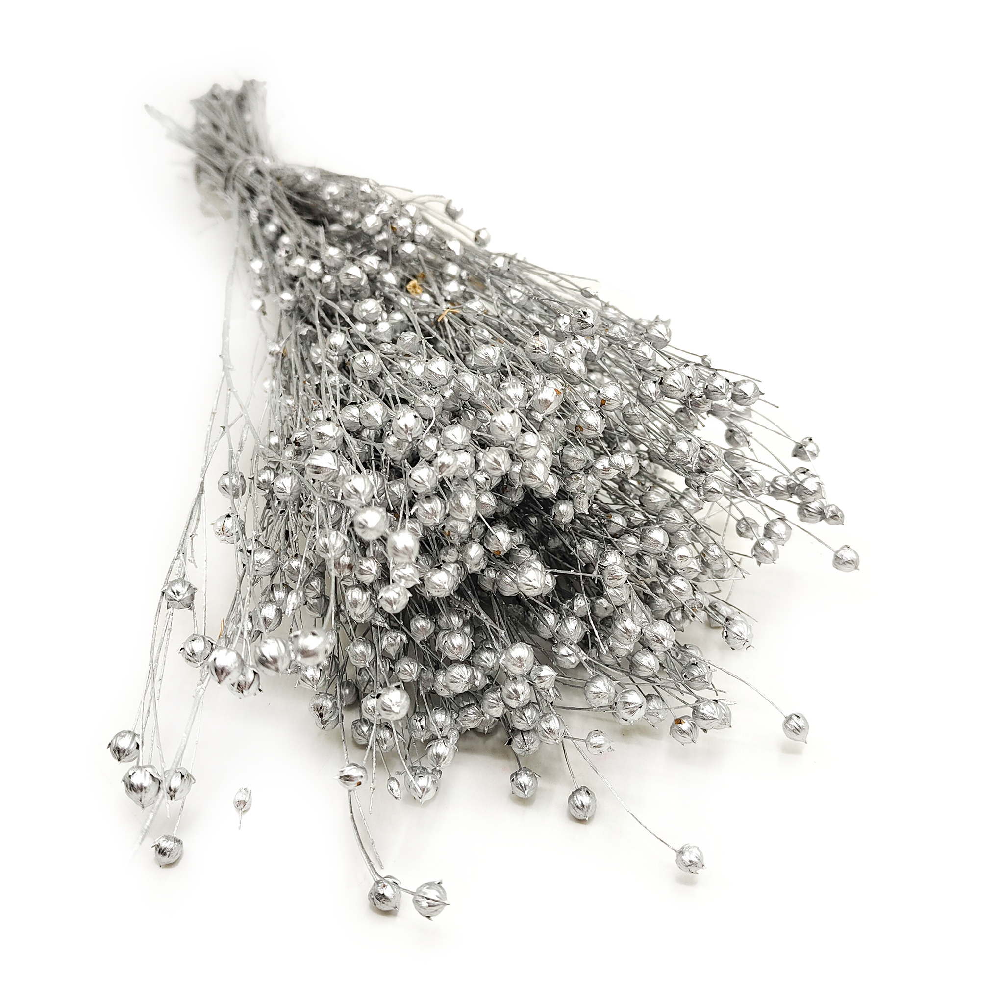 Len Suszony - Srebrny