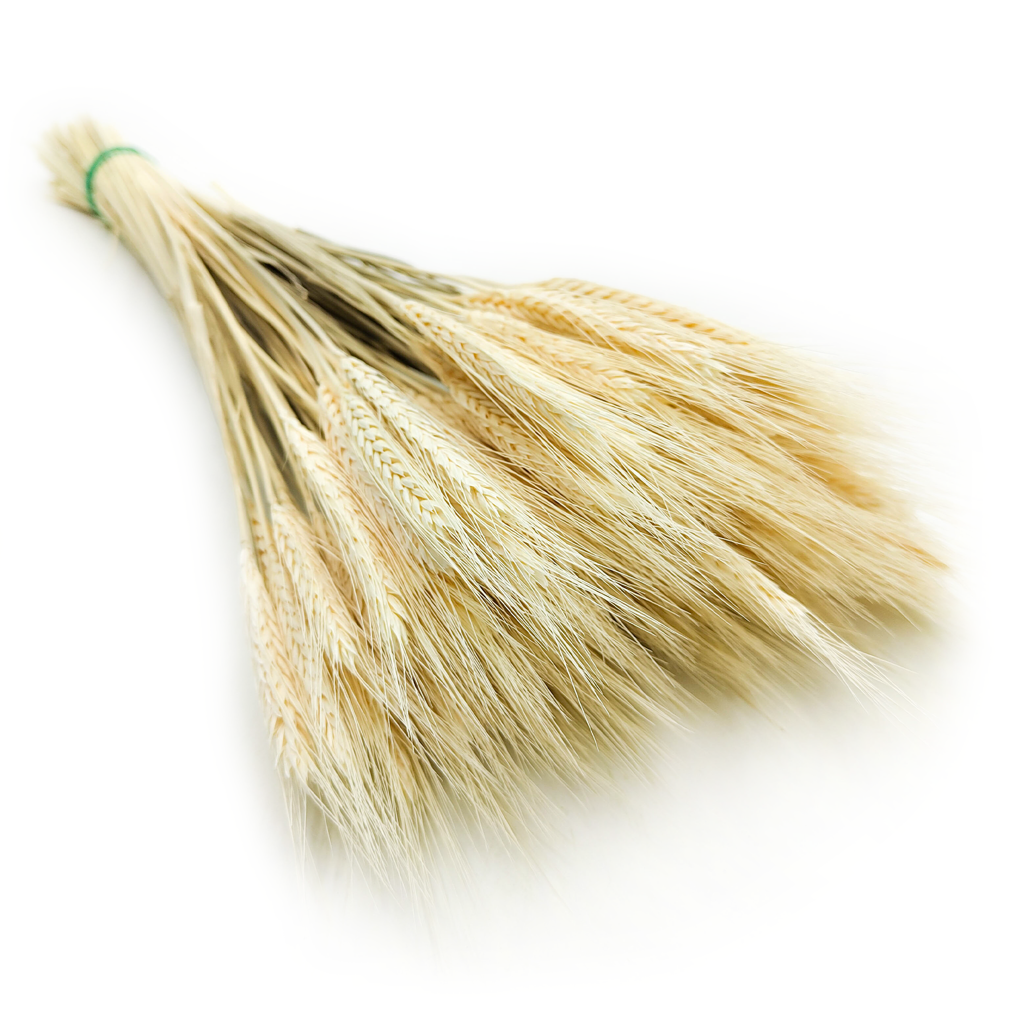 Pszenżyto Suszone - Bielone