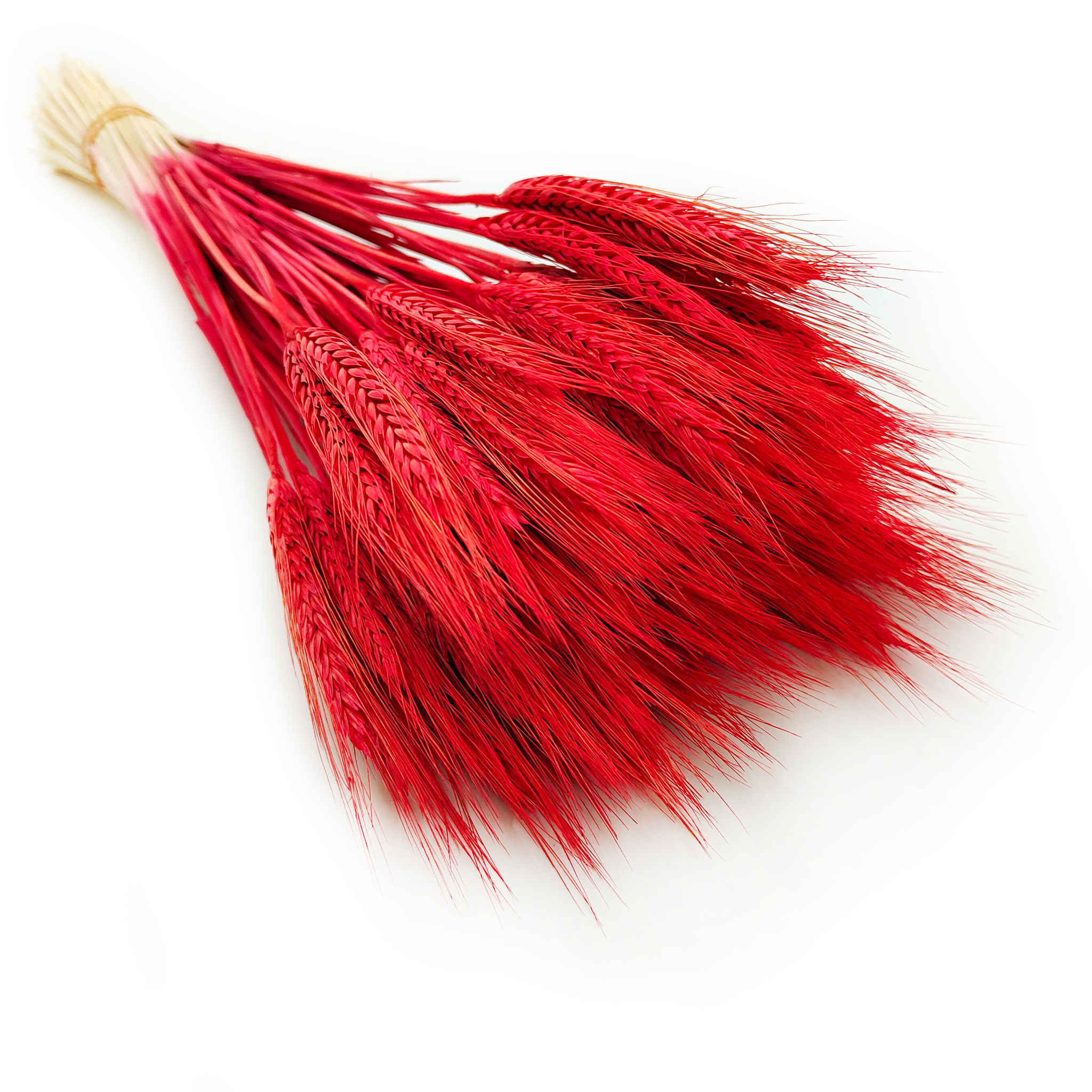 Pszenżyto Suszone - Czerwone