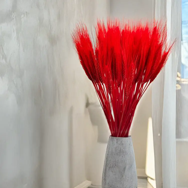 Pszenżyto suszone czerwone kłosy bukiet triticale 1.png