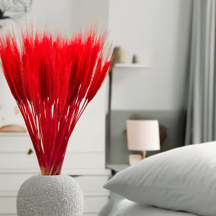 Pszenżyto suszone czerwone kłosy bukiet triticale 3.png