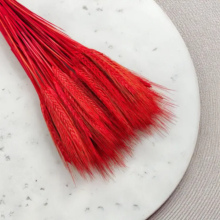 Pszenżyto suszone czerwone kłosy bukiet triticale 6.png