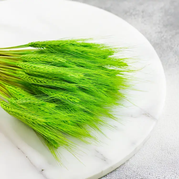 pszenżyto suszone Jasnozielone bukiet triticale kłosy 3.png