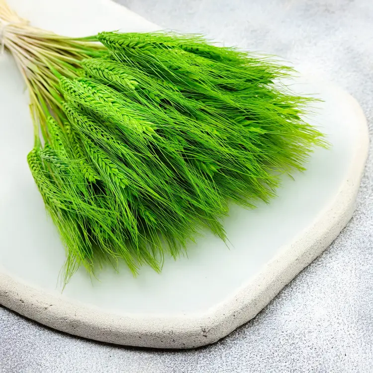 pszenżyto suszone Jasnozielone bukiet triticale kłosy 4.png