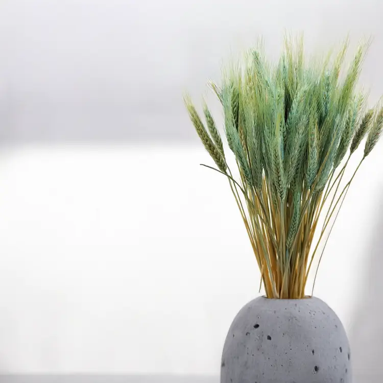 Pszenżyto suszone miętowe triticale kłosy bukiet.png