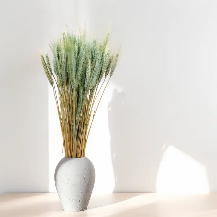 Pszenżyto suszone miętowe triticale kłosy bukiet 1.png