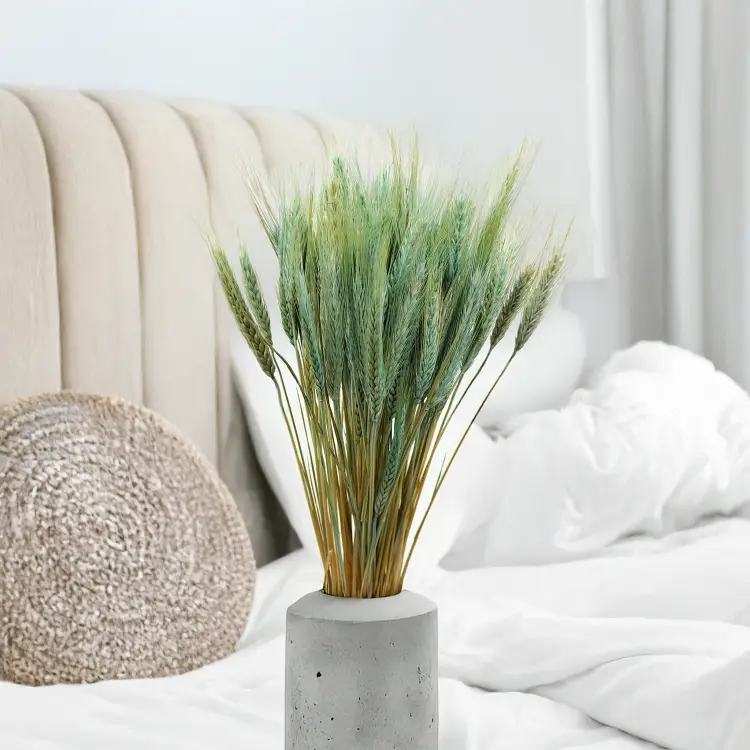 Pszenżyto suszone miętowe triticale kłosy bukiet 2.png