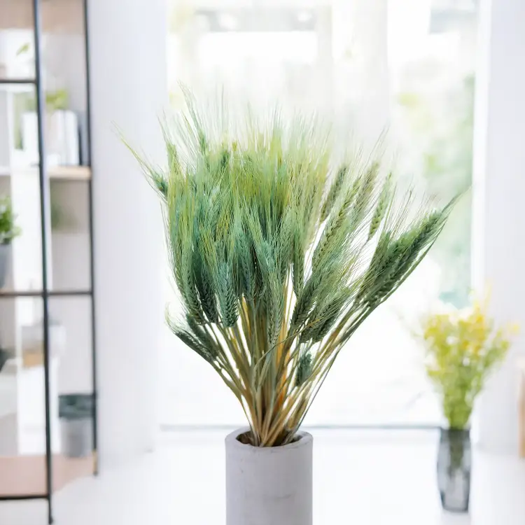 Pszenżyto suszone miętowe triticale kłosy bukiet 3.png