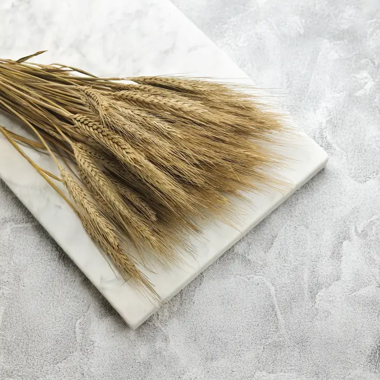 Suszone pszenżyto kłosy naturalne 4.png