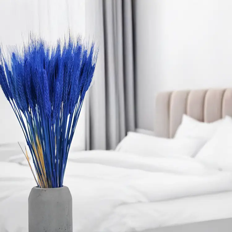 Pszenżyto suszone niebieskie kłosy bukiet triticale 3.png