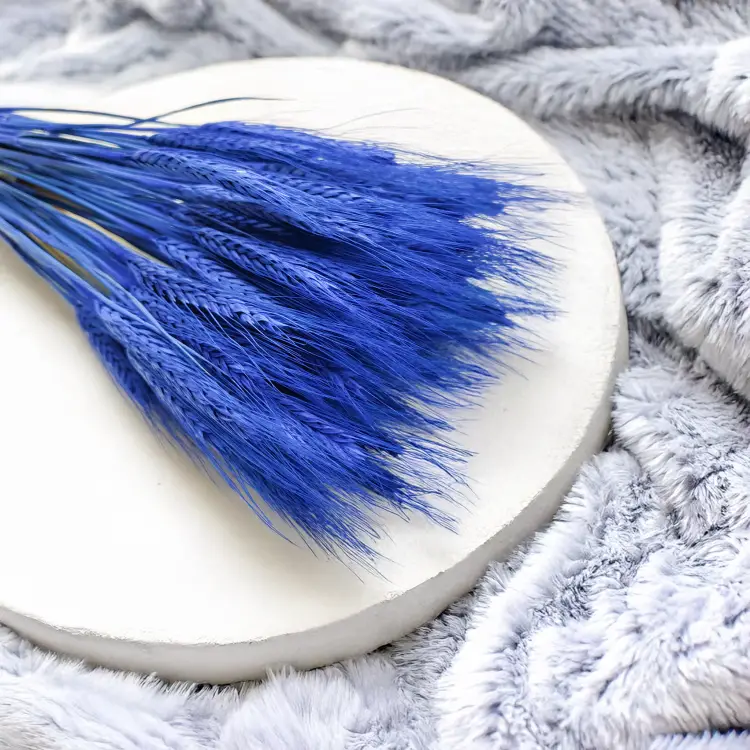 Pszenżyto suszone niebieskie kłosy bukiet triticale 4.png