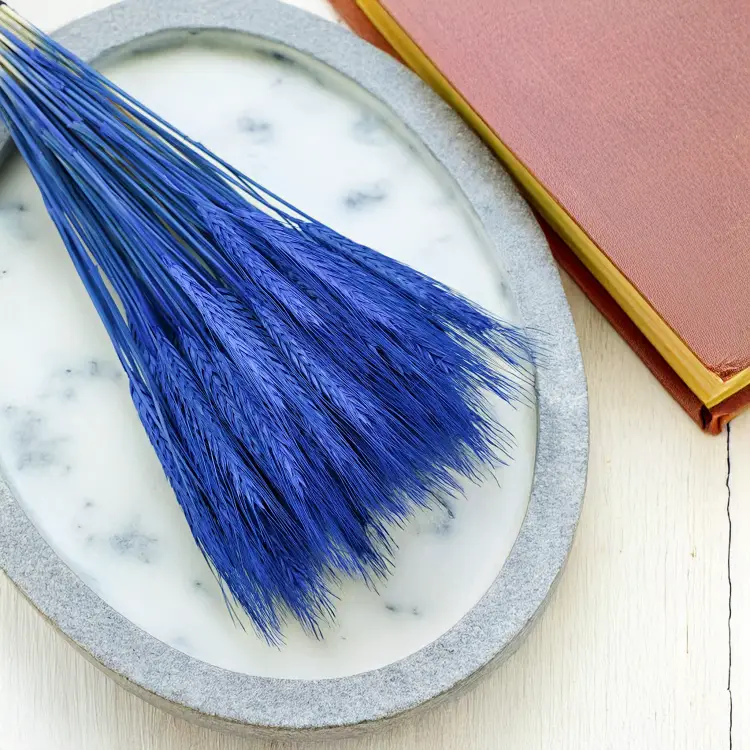 Pszenżyto suszone niebieskie kłosy bukiet triticale 5.png